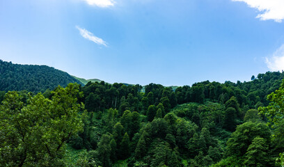Fototapeta na wymiar Caucasus mountain in Guria region of Georgia