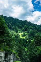 Fototapeta premium Caucasus mountain in Guria region of Georgia
