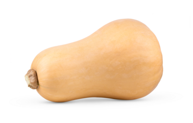 butternut squash isolated on transparent png