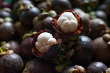 Mangosteen is queen of tropical fruit in Thailand.