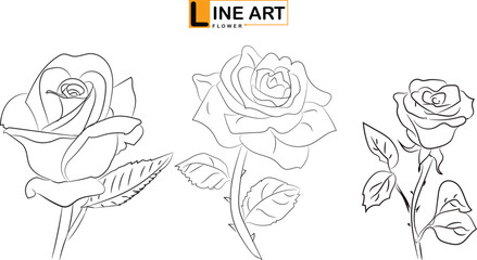Line art of flowers and plants vector set design on transparent background