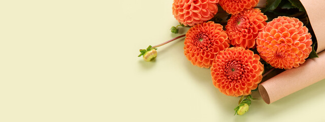 Bouquet of beautiful dahlia flowers on light green background with space for text, closeup