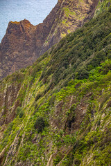 Vereda do Larano hiking trail, Madeira	