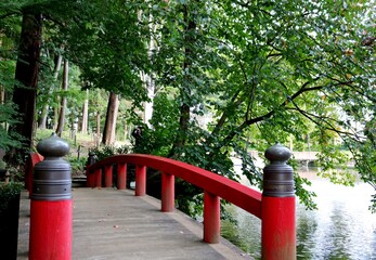 森へ続く神聖な太鼓橋　穏やかな秋の日　風景　栃木