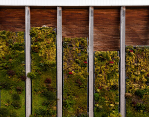 Living wall or vertical garden on building