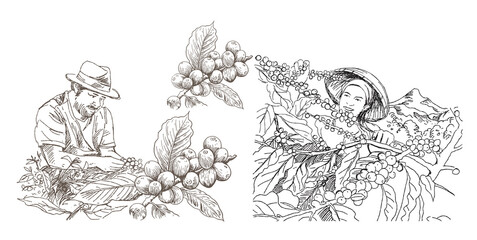 coffee label packaging of drawing vintage ink on paper for product. coffee banner advertising for digital promotion. coffee ink drawing