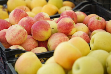 Apples of different varieties on sale at the market.
