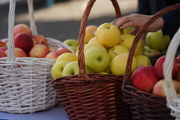 Apples of different varieties on sale at the market.