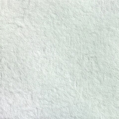 Monochrome texture background. Image includes the effect the black and white tones. Surface looks rough. Gray printing element. Backdrop texture wall and have copy space for text.