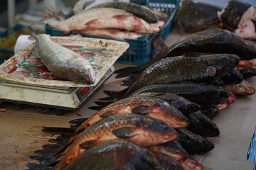 Fresh fish on an open market stall on sale.