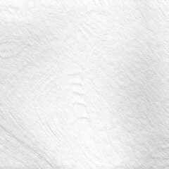 Monochrome texture background. Image includes the effect the black and white tones. Surface looks rough. Gray printing element. Backdrop texture wall and have copy space for text.