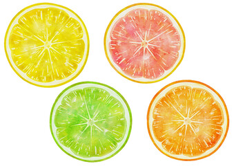 スライスオレンジ・ライム・レモン・ピンクグレープフルーツのビタミンカラー柑橘セット　ラスター素材