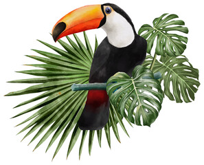 illustration watercolor of toucan bird and leaves.