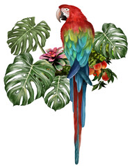 illustration watercolor of Macaw bird and tropical leaves. © NPD stock