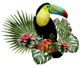 illustration watercolor  of toucan bird and leaves
