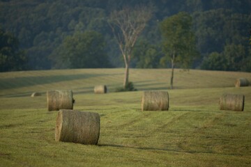 Scenic view of hay bales in green Midwest fields on a sunny day