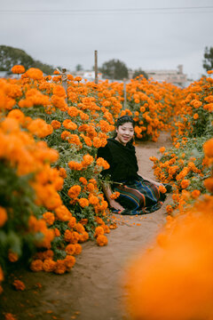 Dia De Los Muertos Marigold Field