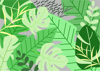 The tropics. Vector illustration of tropical leaves