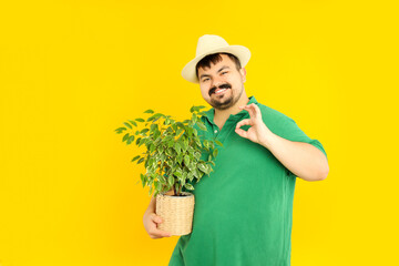 Concept of people, young fat man with plant on yellow background