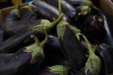 Farm eggplant in a container at the market.