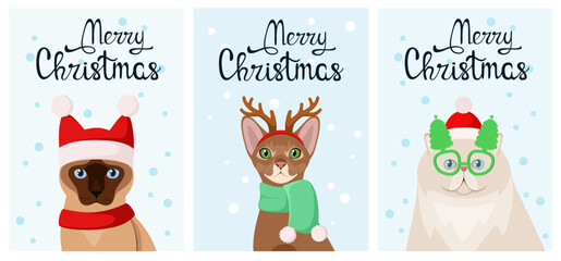 A set of Christmas cards with funny cats. Pets. Cartoon design.
