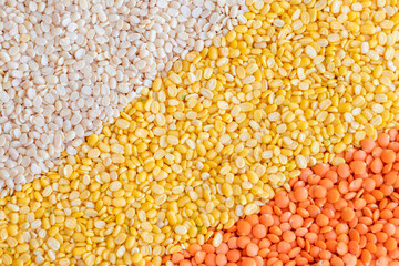 Group of lentils, red lentil (masur), vigna mungo (urad dal), yellow lentils (harhar dal) cereal grains background