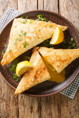 Traditional Tunisian cuisine Brik pastries with tuna and egg srved with lemon close up in the plate on the wooden table. Vertical top view from above