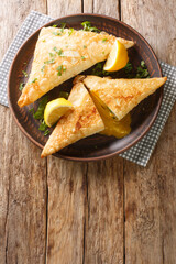 Brik Tunisian savory filo dough pastry stuffed with tuna, vegetables and egg close-up in a plate on the table. vertical top view from above