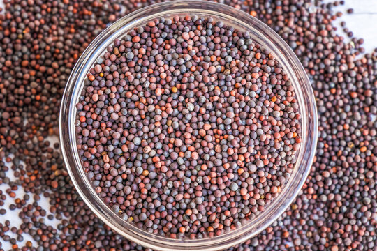Mustard seeds (Brassica nigra) in a glass bowl close up, top view