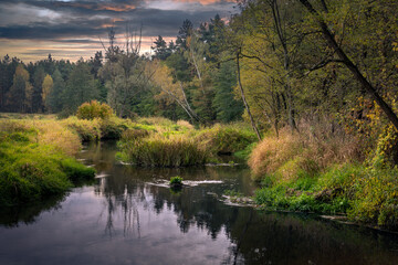 Fototapeta premium End of summer on the Grabia River lit by the setting sun, Poland.