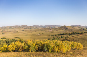 Fototapeta premium autumn grassland beautiful scenery in Inner Mongolia China