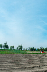 開拓中の畑