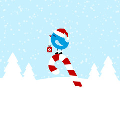 Blauer Vogel Auf Zuckerstange Schnee Wald Hellblau Dunkelrot