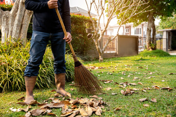 Gardener sweeps dried  leaf on the grass field in the garden.. cleaning concept
