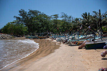 Lotus tower, Colombo is light up in the night sky