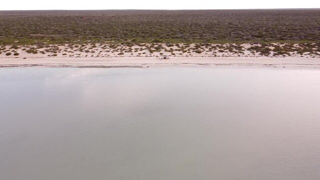 Shark Bay’s Waters, Islands And Peninsulas Have A Number Of Exceptional Natural Features, Including One Of The Largest Seagrass Beds In The World. Is Also Famous For A Large Population Of Dugongs.