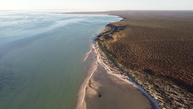 Shark Bay’s Waters, Islands And Peninsulas Have A Number Of Exceptional Natural Features, Including One Of The Largest Seagrass Beds In The World. Is Also Famous For A Large Population Of Dugongs.