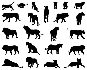 Black silhouettes of lions on a white background	