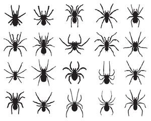 Black silhouettes of different spiders  on a white background	