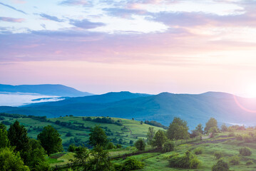 Fototapeta premium landscape fog. morning fog in the mountains. thick fog over the mountains in the rays of the sun, a beautiful sky. green hills