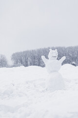 The figure of funny snowman animal with a mustache of twigs in snowy field during winter snowfall. Snow sculpture of happy clumsy cat or bear, winter outdoor activities background with copy space.