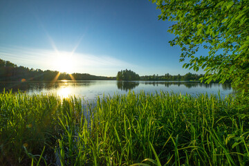 Forest lake for fishing. Green leaves of reeds in the water. Morning fishing in summer. Sunrise over the lake. A fishing spot in the forest.