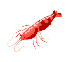 Langoustine Isometric Icon