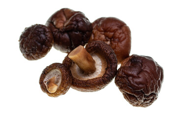 shiitake mushrooms on white background