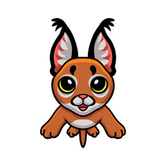 Cute caracal cat cartoon posing