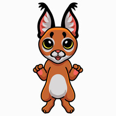 Cute caracal cat cartoon standing