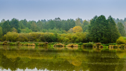 autumn forest right by the lake