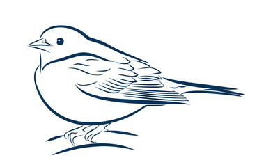 A sketch of a small forest bird.