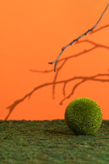 Premium empty scene with grass ball on green moss on an orange background with shadows of tree...