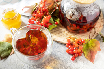 Autumn tea, fruity seasonal drink. Viburnum and cup of healthy viburnum tea with honey on a stone table.